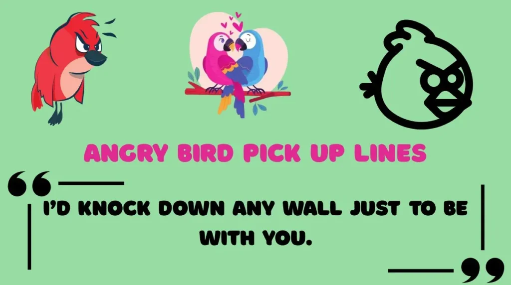 Angry Bird Pick Up Lines