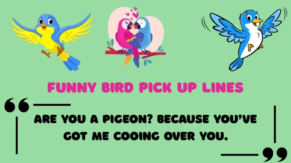 Funny Bird Pick Up Lines