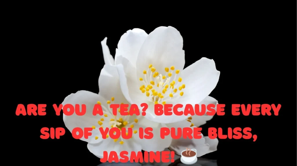 Funny Jasmine Pick Up Lines 