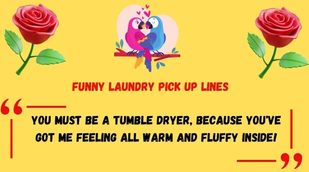 Funny Laundry Pick Up Lines