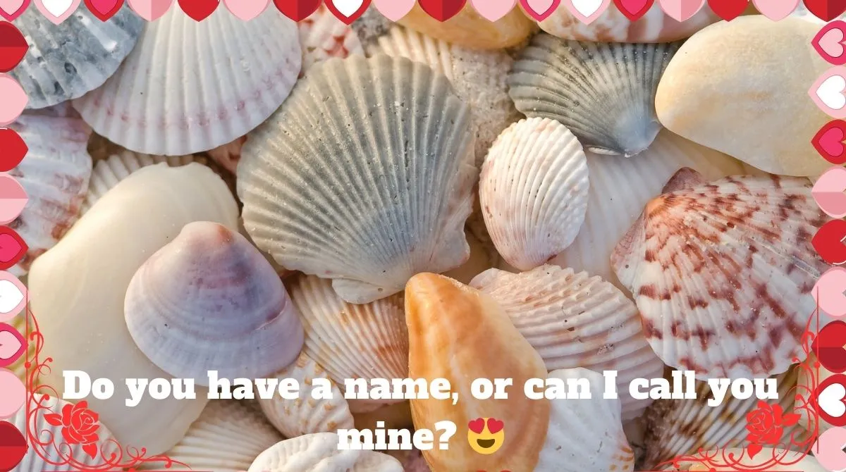 Hannah Pick Up Lines