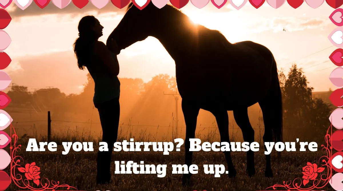 Horse Pick Up Lines For Instagram