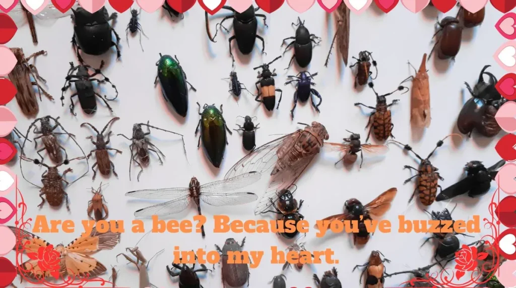 Insect Pick Up Lines
