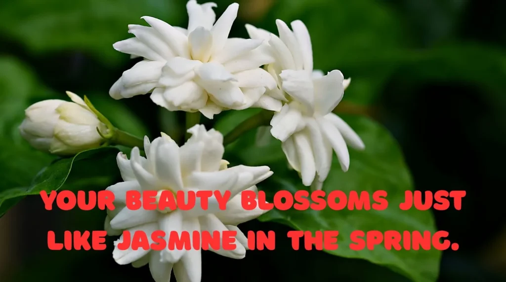 Jasmine Flower Pick Up Lines