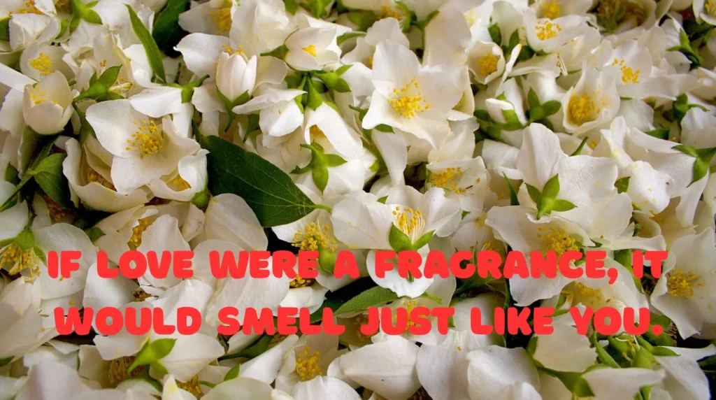 Jasmine Pick Up Lines for Him