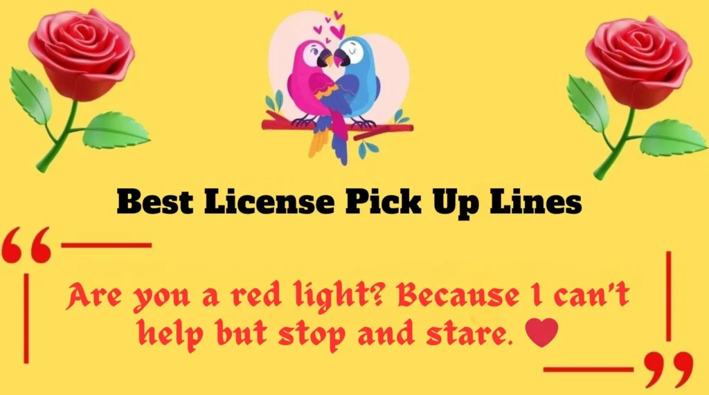 Best License Pick Up Lines 