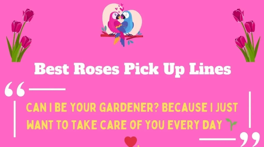 Best Roses Pick Up Lines