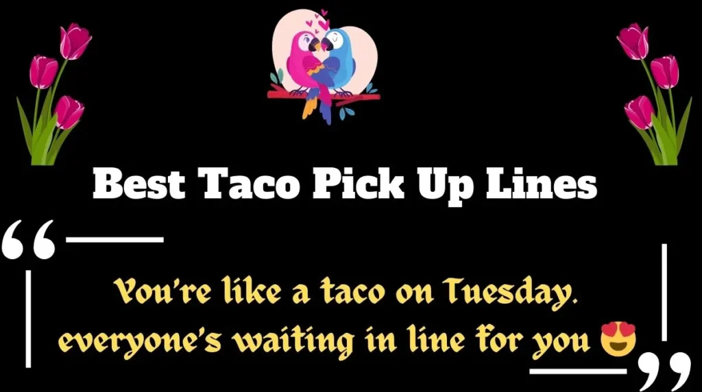 Best Taco Pick Up Lines 
