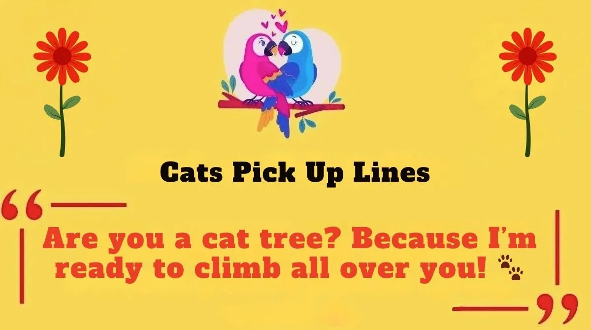 Cats Pick Up Lines