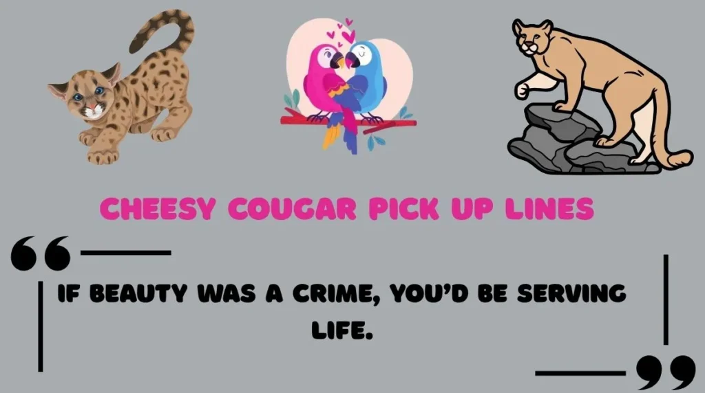 Cheesy Cougar Pick Up Lines 