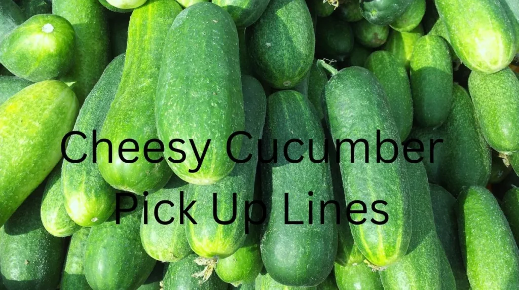 Cheesy Cucumber Pick Up Lines