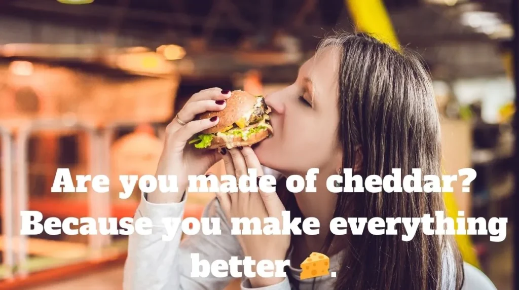 Cheesy Hamburger Pick Up Lines