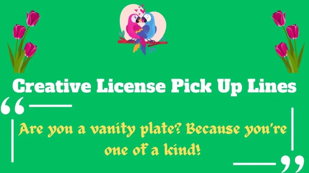 Creative License Pick Up Lines