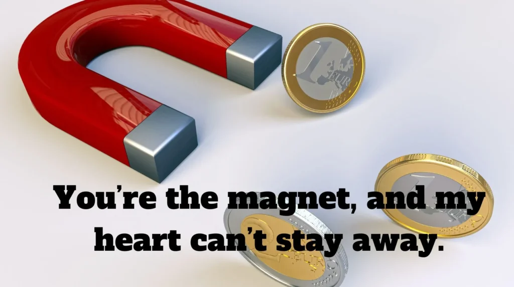 Cute Magnet Pick Up Lines