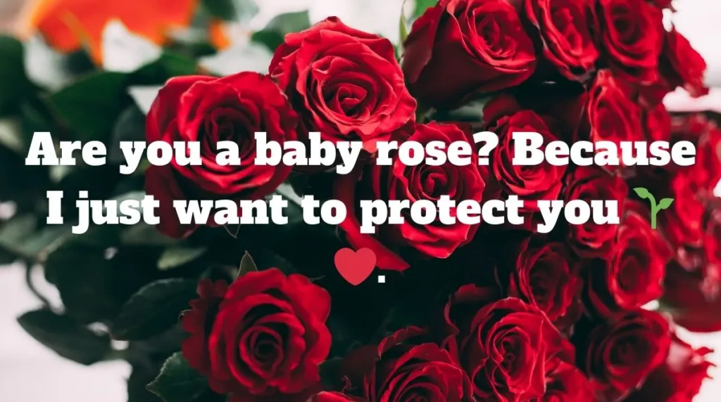 Cute Roses Pick Up Lines