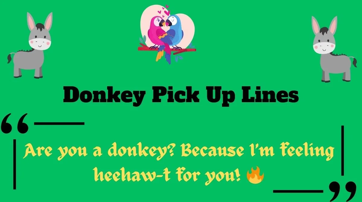 Donkey Pick Up Lines