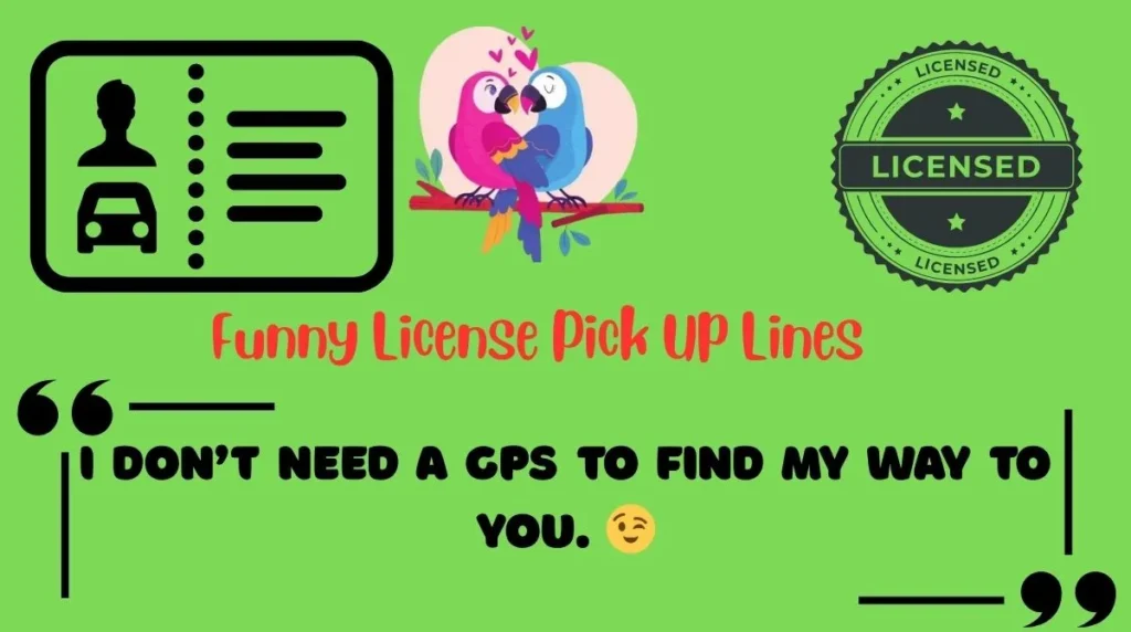Funny License Pick Up Lines 