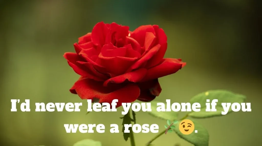 Funny Roses Pick Up Lines