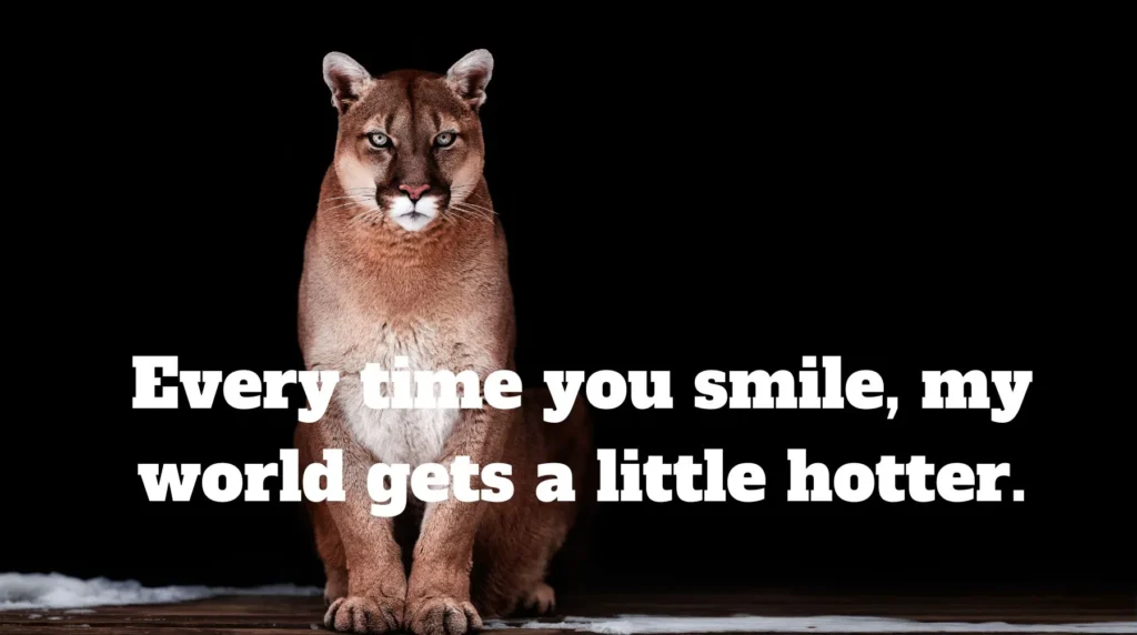 Hot Cougar Pick Up Lines