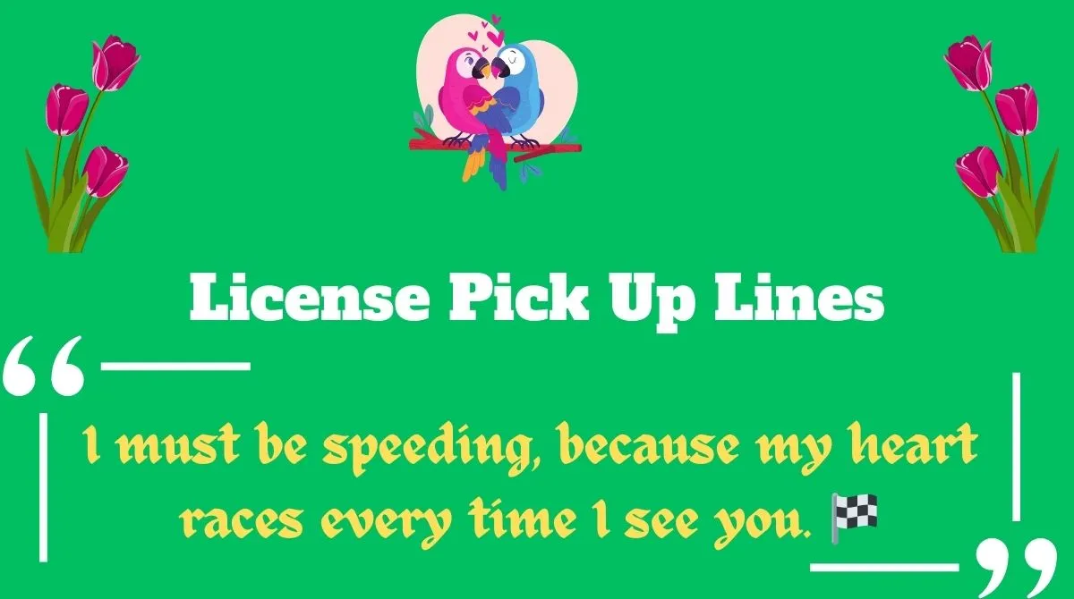License Pick Up Lines