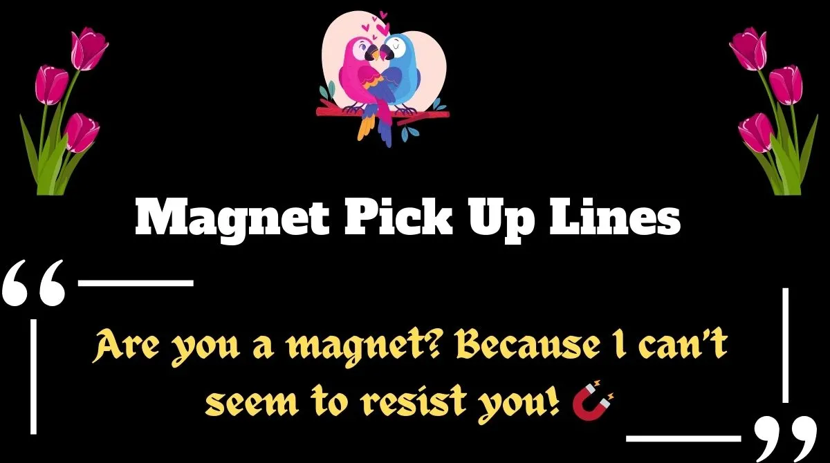 Magnet Pick Up Lines