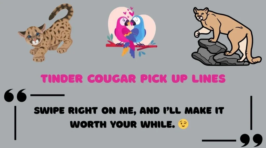 Tinder Cougar Pick Up Lines