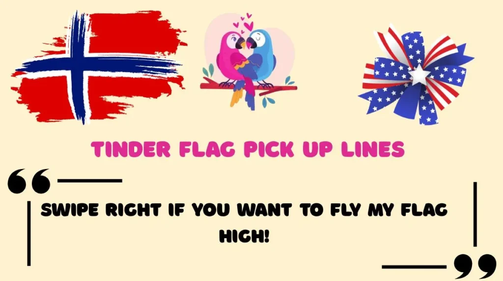 Tinder Flag Pick Up Lines 