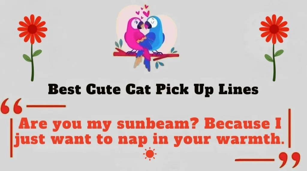 Best Cute Cat Pick Up Lines