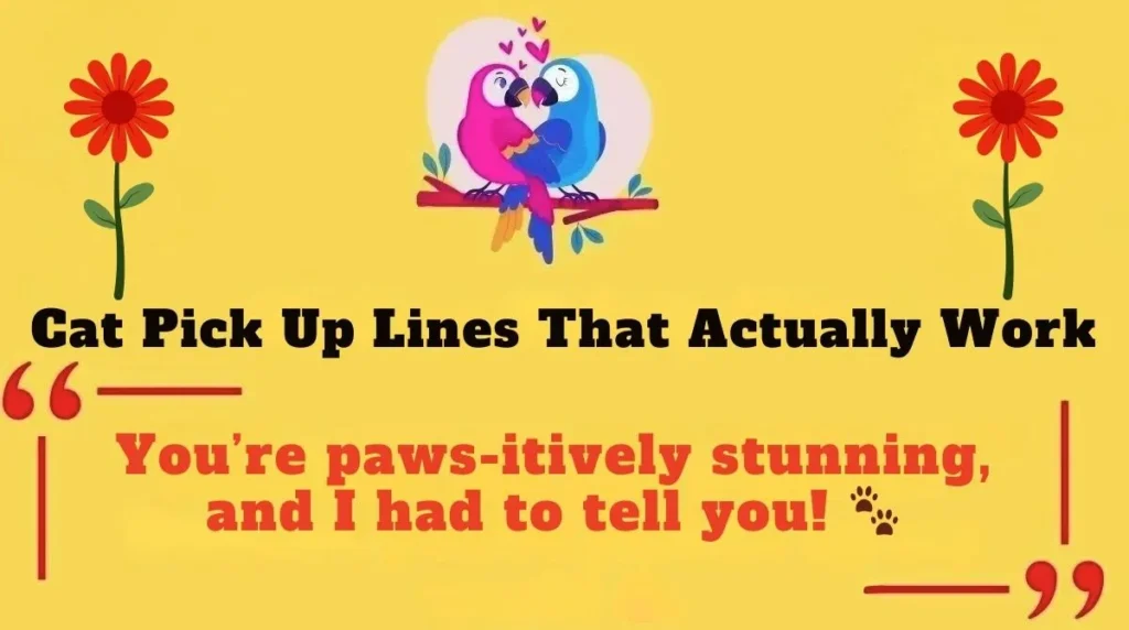 Cat Pick Up Lines That Actually Work