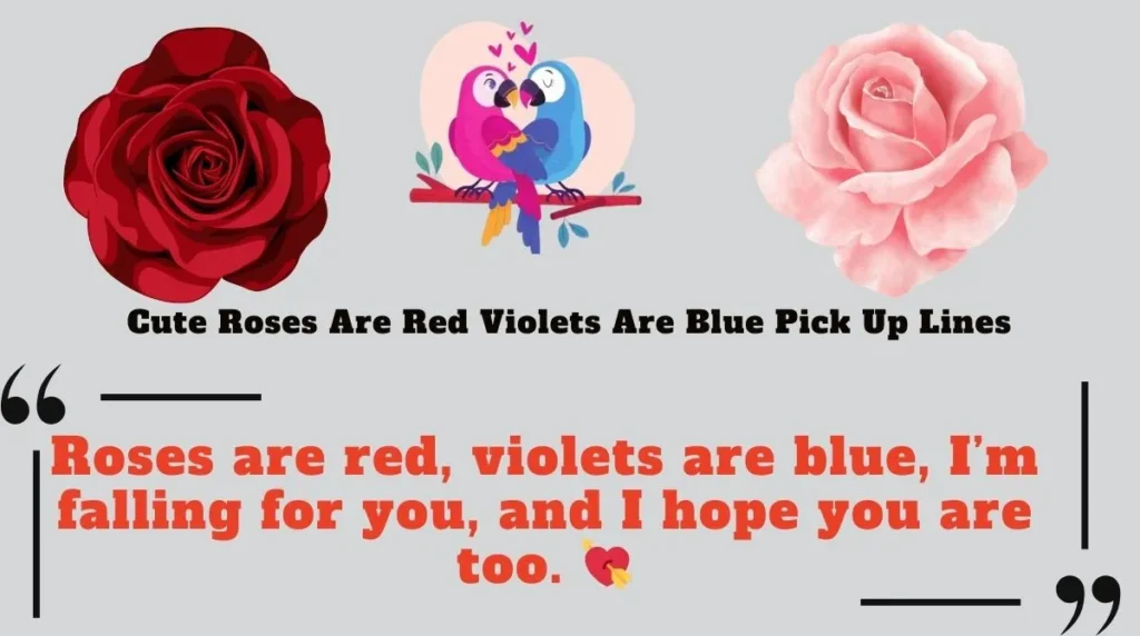 Cute Roses Are Red Violets Are Blue Pick Up Lines