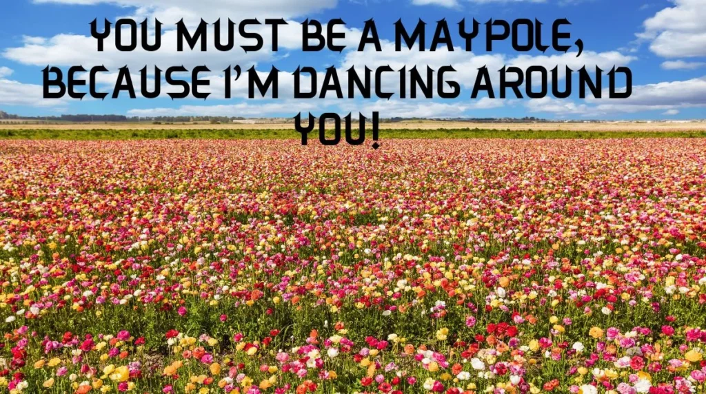 Funny May Pick Up Lines