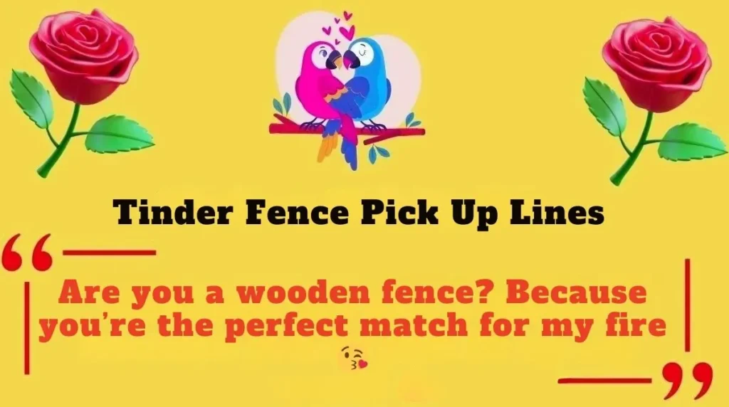 Tinder Fence Pick Up Lines 