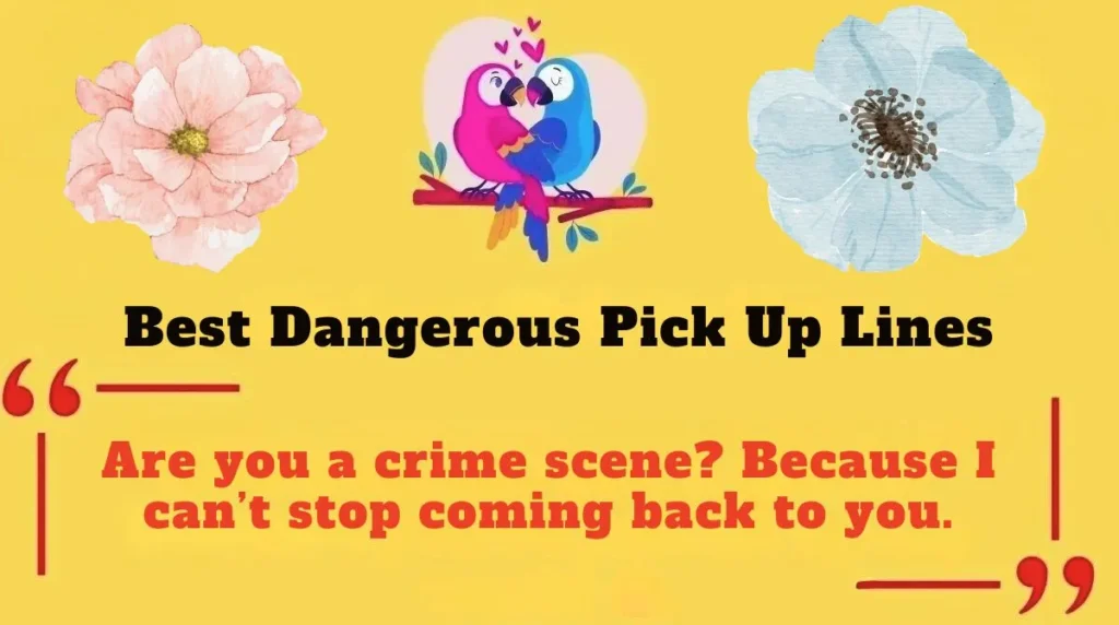 Best Dangerous Pick Up Lines