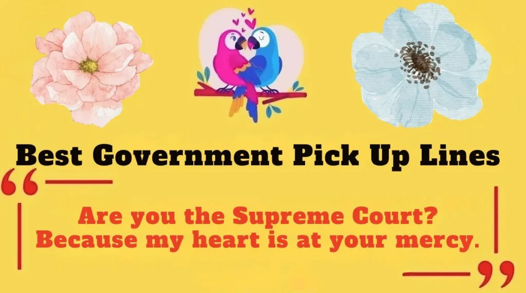 Best Government Pick Up Lines 