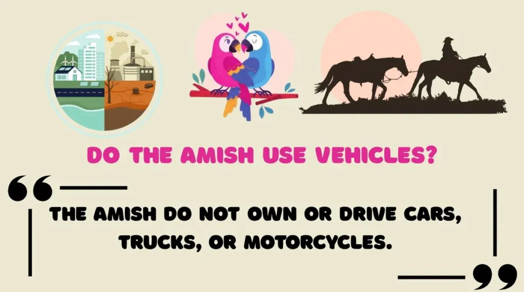 Do the Amish Use Vehicles?