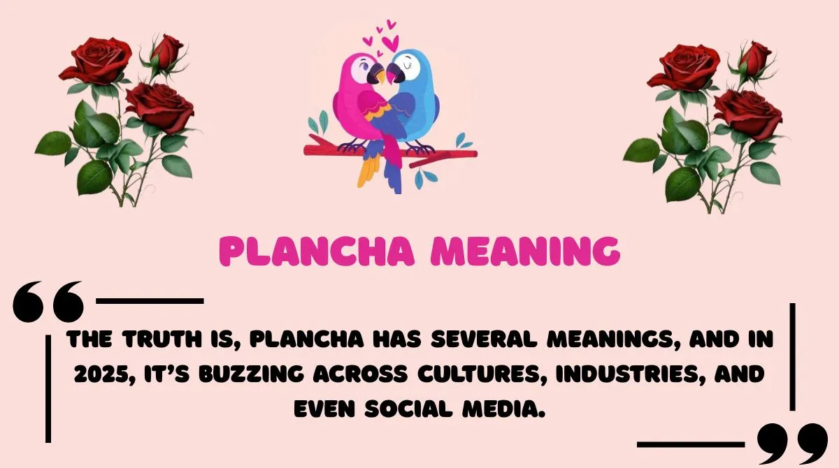 Plancha Meaning
