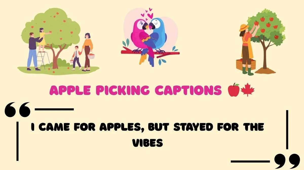 Apple Picking Captions