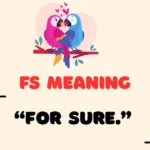FS Meaning