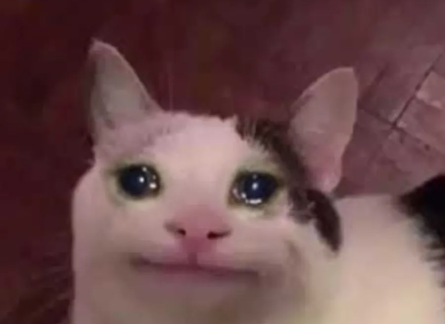 Crying Cat Face Swap Meme The Purr-fect Blend of Humor and AI