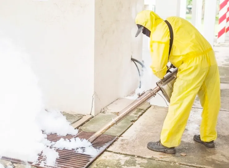 How Different Pest Control Options Tackle Unique Infestations