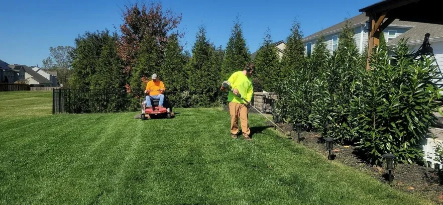 How Soil Health and Turf Care Experts Create Thriving Landscapes