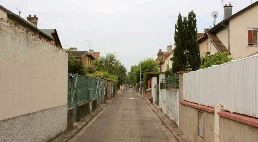 What Should I Look For When Buying A Fence