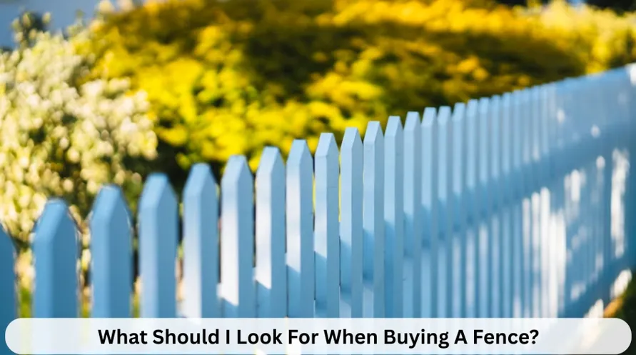 What Should I Look For When Buying A Fence