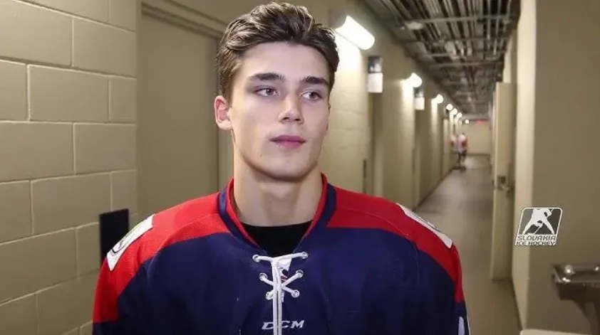 Michal Mrazik Age, Height, Weight, Net Worth, Career, And Full Bio In 2025