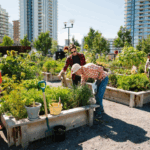 How Young Professionals Build Community in Apartments