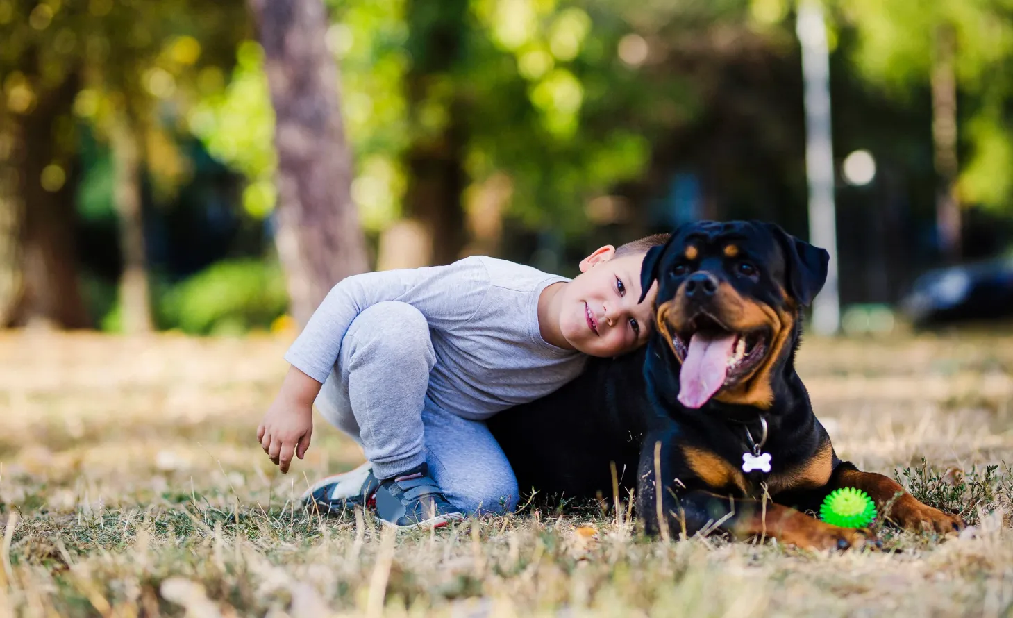 The heartwarming role of families inanimal rescue and community support(with focus on children)