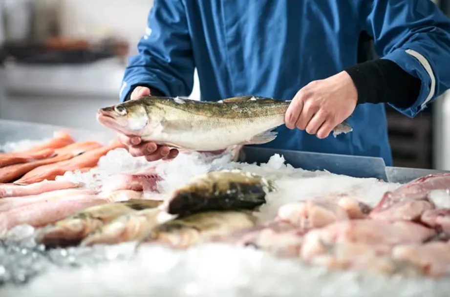 Top Qualities to Look for When Choosing a Seafood Franchise