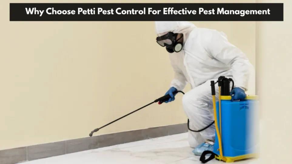 Why Choose Petti Pest Control For Effective Pest Management