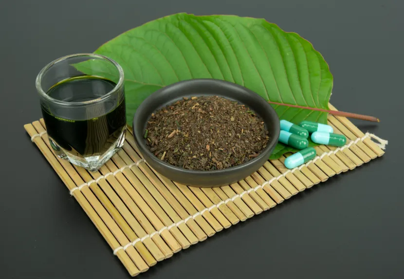 Why Kratom Blends Are Gaining Popularity Among Wellness Seekers